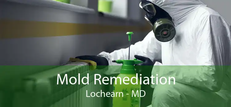 Mold Remediation Lochearn - MD