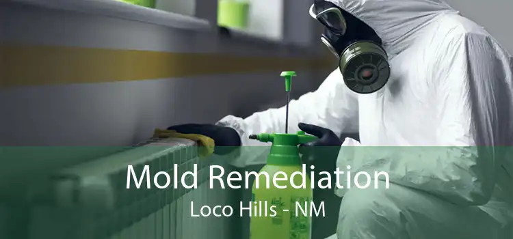 Mold Remediation Loco Hills - NM