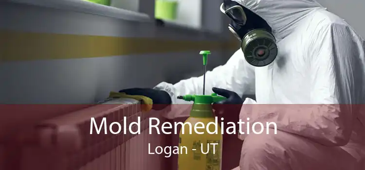 Mold Remediation Logan - UT