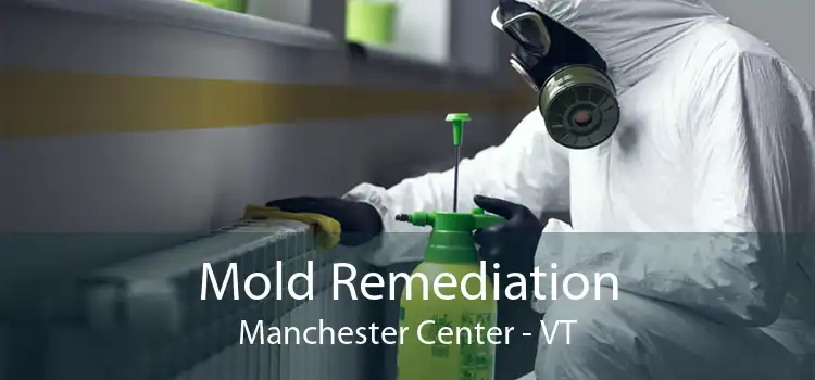 Mold Remediation Manchester Center - VT