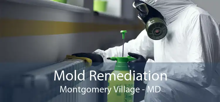 Mold Remediation Montgomery Village - MD