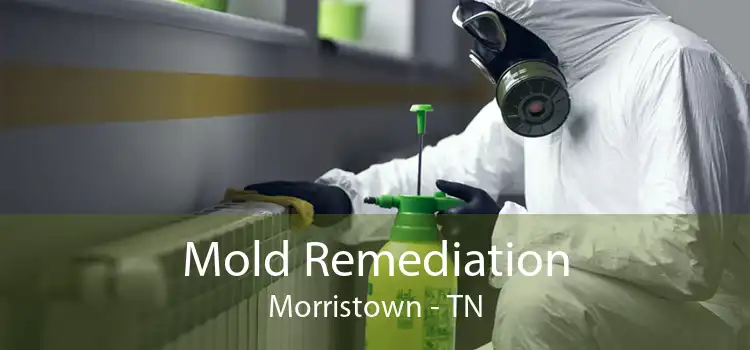 Mold Remediation Morristown - TN