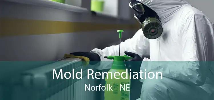 Mold Remediation Norfolk - NE