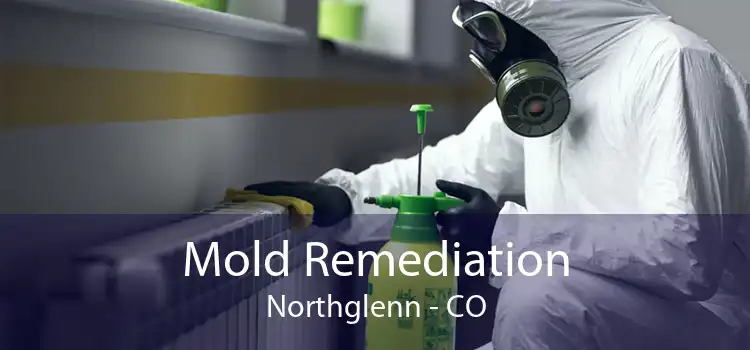 Mold Remediation Northglenn - CO