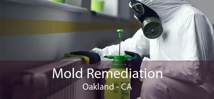 Mold Remediation Oakland - CA