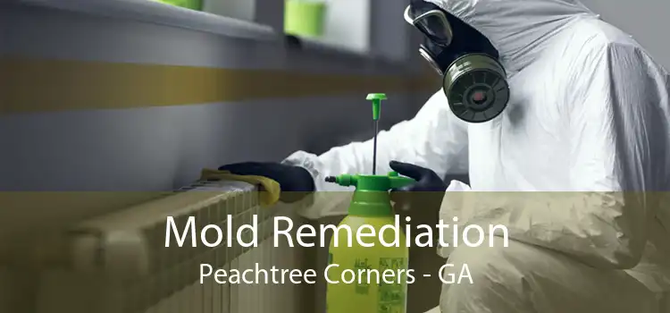 Mold Remediation Peachtree Corners - GA