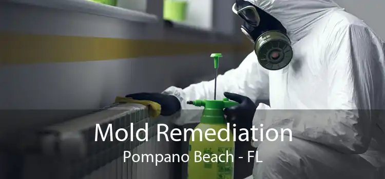 Mold Remediation Pompano Beach - FL