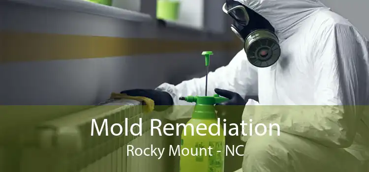 Mold Remediation Rocky Mount - NC