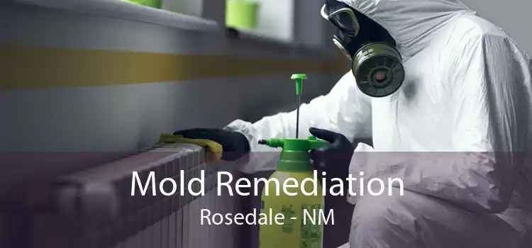 Mold Remediation Rosedale - NM