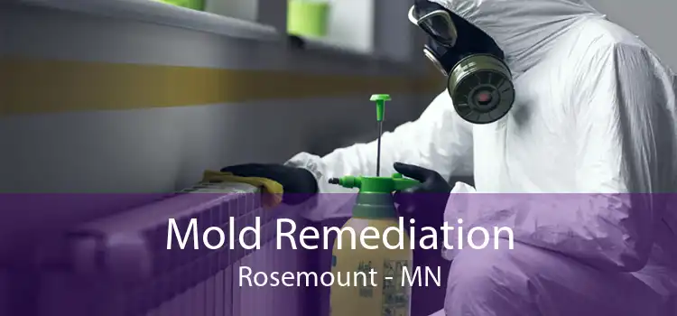 Mold Remediation Rosemount - MN