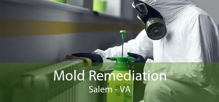 Mold Remediation Salem - VA