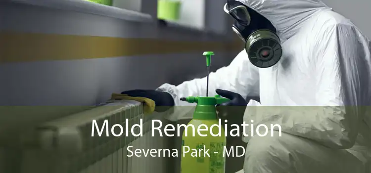 Mold Remediation Severna Park - MD