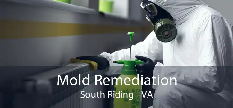 Mold Remediation South Riding - VA