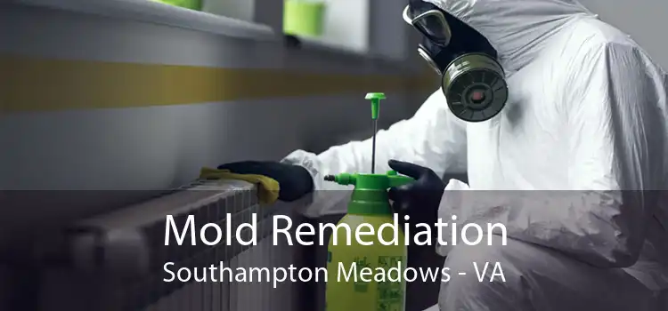 Mold Remediation Southampton Meadows - VA