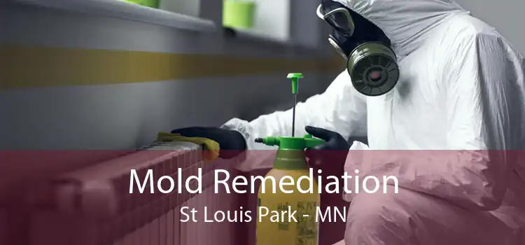 Mold Remediation St Louis Park - MN