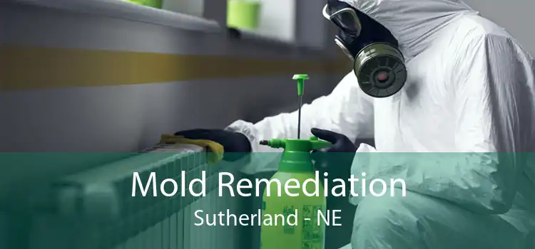 Mold Remediation Sutherland - NE