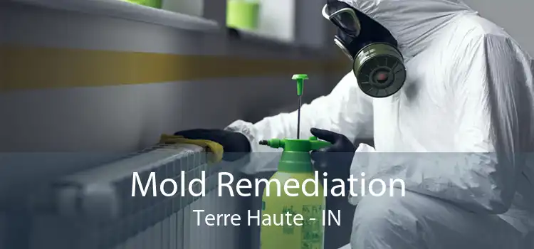 Mold Remediation Terre Haute - IN