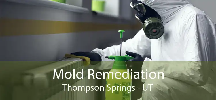 Mold Remediation Thompson Springs - UT