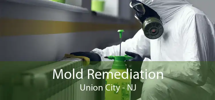 Mold Remediation Union City - NJ