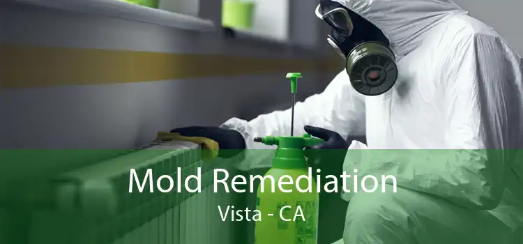 Mold Remediation Vista - CA