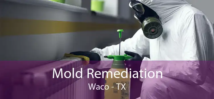 Mold Remediation Waco - TX