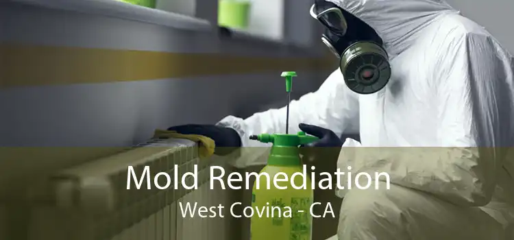 Mold Remediation West Covina - CA