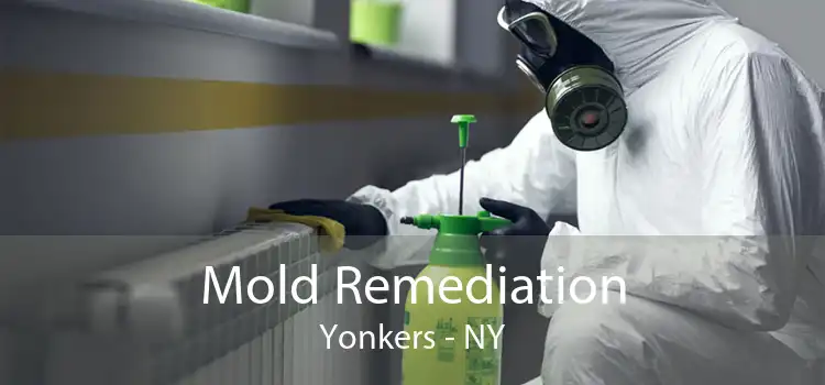 Mold Remediation Yonkers - NY