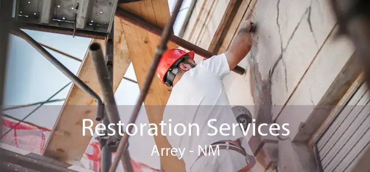 Restoration Services Arrey - NM