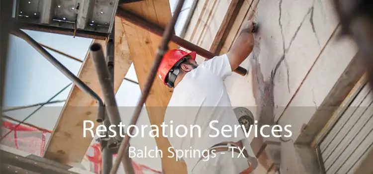 Restoration Services Balch Springs - TX