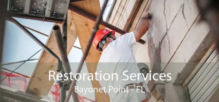 Restoration Services Bayonet Point - FL