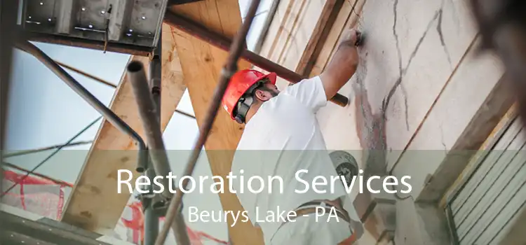 Restoration Services Beurys Lake - PA