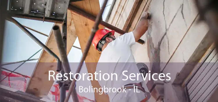 Restoration Services Bolingbrook - IL