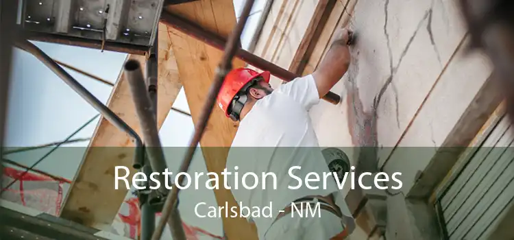 Restoration Services Carlsbad - NM