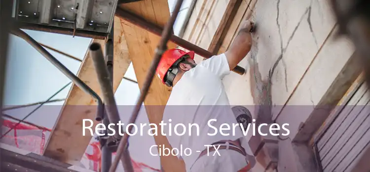 Restoration Services Cibolo - TX