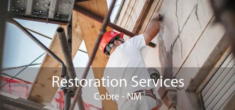 Restoration Services Cobre - NM