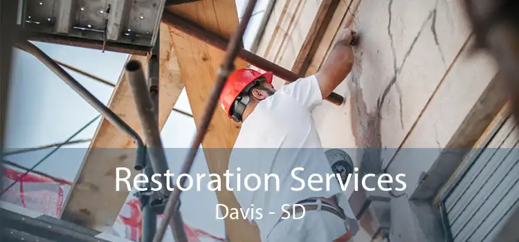 Restoration Services Davis - SD