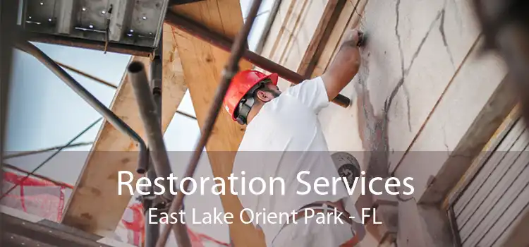 Restoration Services East Lake Orient Park - FL