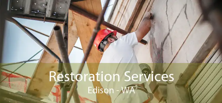 Restoration Services Edison - WA