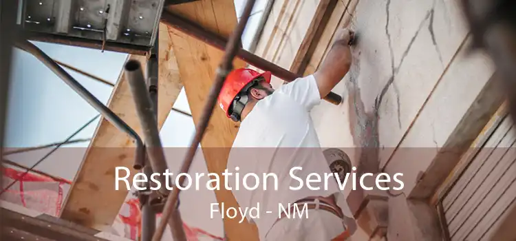 Restoration Services Floyd - NM