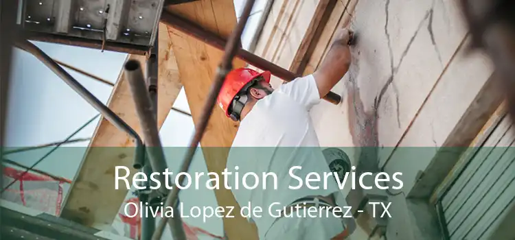 Restoration Services Olivia Lopez de Gutierrez - TX