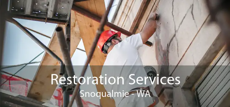 Restoration Services Snoqualmie - WA