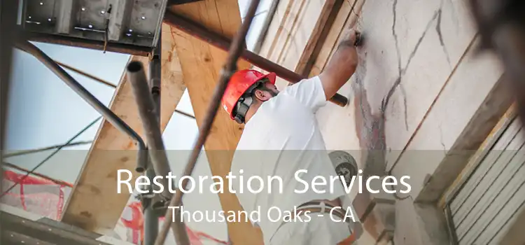 Restoration Services Thousand Oaks - CA