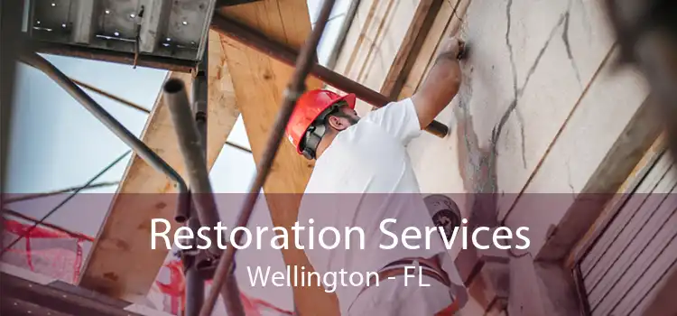 Restoration Services Wellington - FL