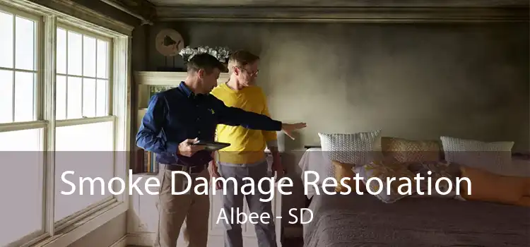 Smoke Damage Restoration Albee - SD