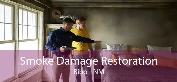 Smoke Damage Restoration Bibo - NM