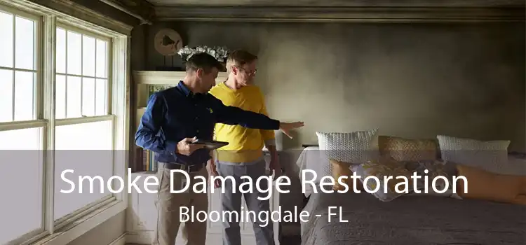 Smoke Damage Restoration Bloomingdale - FL