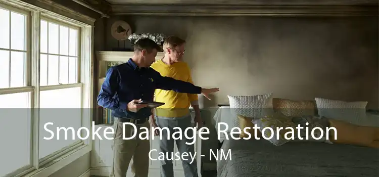 Smoke Damage Restoration Causey - NM