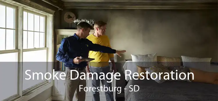 Smoke Damage Restoration Forestburg - SD