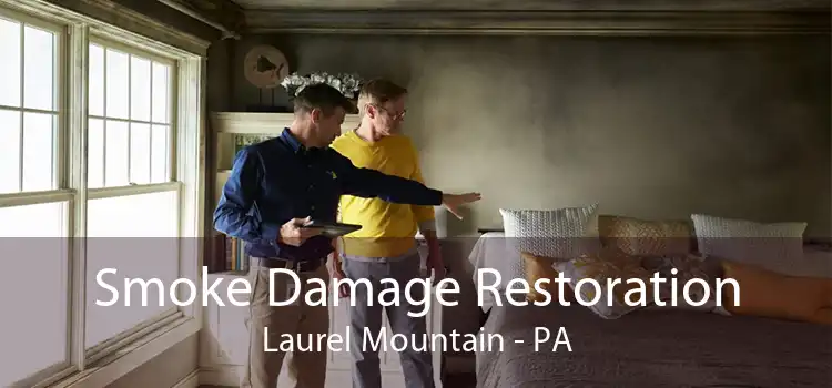 Smoke Damage Restoration Laurel Mountain - PA