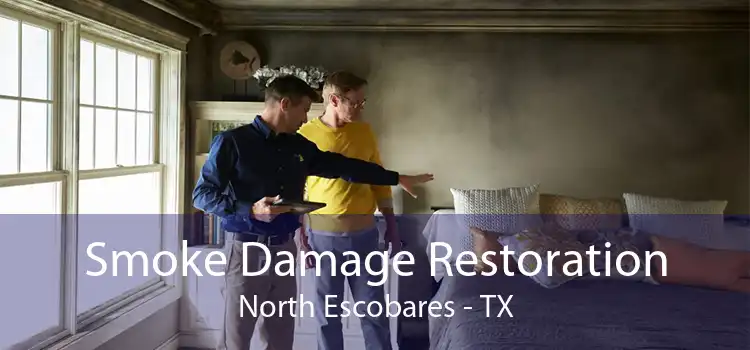 Smoke Damage Restoration North Escobares - TX